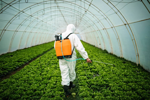 Best Pest Control for Restaurants  in Artesia, CA