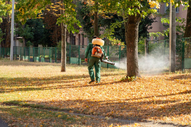 Best Pest Control Near Me in Artesia, CA