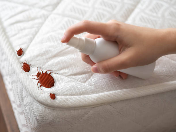 Pest Control for Restaurants in Artesia, CA