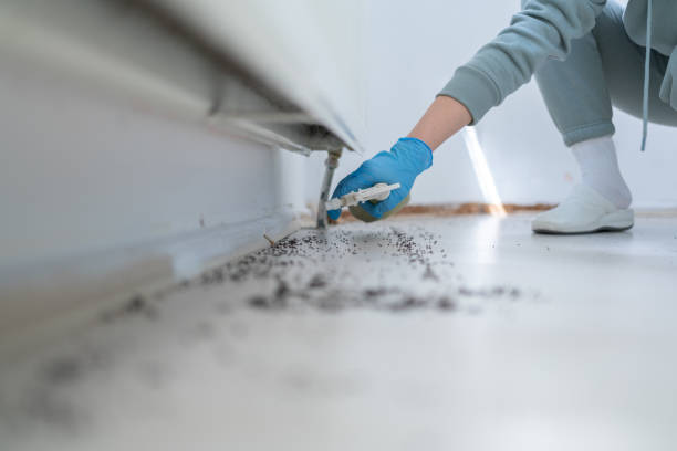 Pest Prevention Services in Artesia, CA